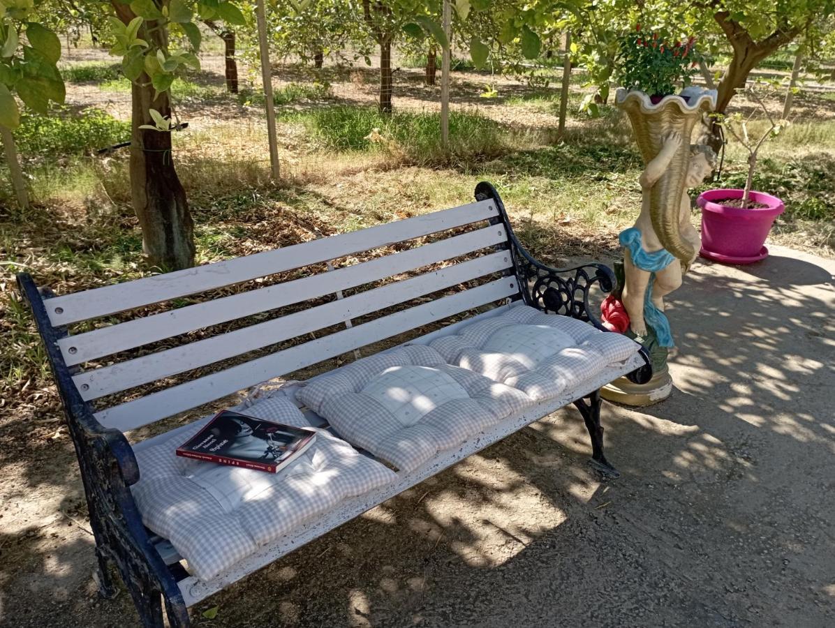 فيلا Casa Vacanze Vannuzza نوتو المظهر الخارجي الصورة
